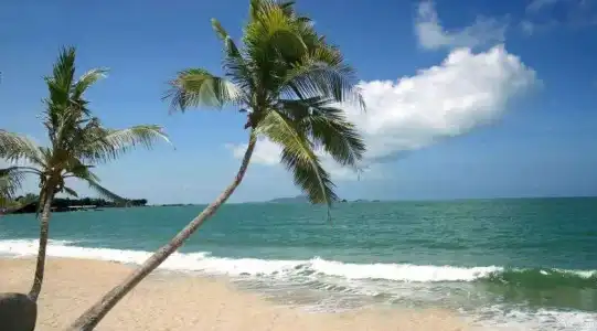 Sanya Hawaii - 11