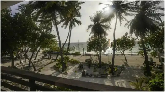 Salt Beach - 24