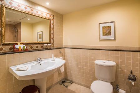 Grand Excelsior - 10