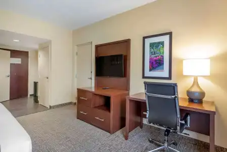 Comfort Suites Fredericksburg North - 69