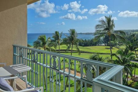 The Ritz-Carlton Maui, Kapalua - 72