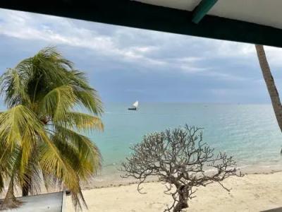 Stone Town Cafe - 14