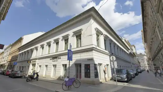 The Hive Party Hostel - 17
