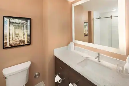 TownePlace Suites by Marriott San Diego Downtown - 60