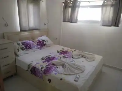Paddys Apartments Ovacık - 2