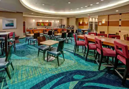 SpringHill Suites Marriott Norfolk Old Dominion University - 14