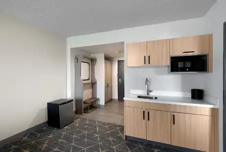 Holiday Inn & Suites Chicago - Downtown by IHG - 65