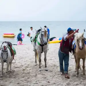 Phunyanuch - 19