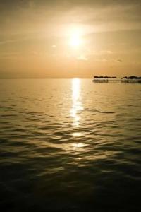 Guest House Dinara - 8