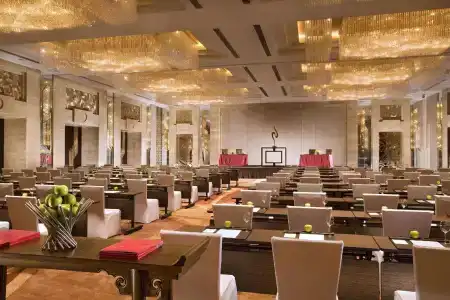 Swissotel Grand - 18