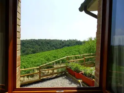 Agriturismo Montegonfoli - 43