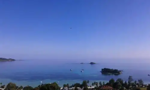 Mango Lodge - 26