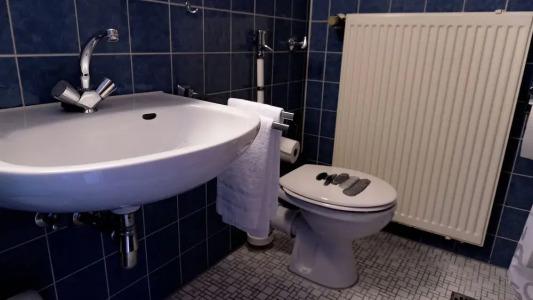 Haven - am Stadion - 7