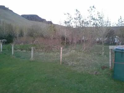 Guesthouse Reynir - 8