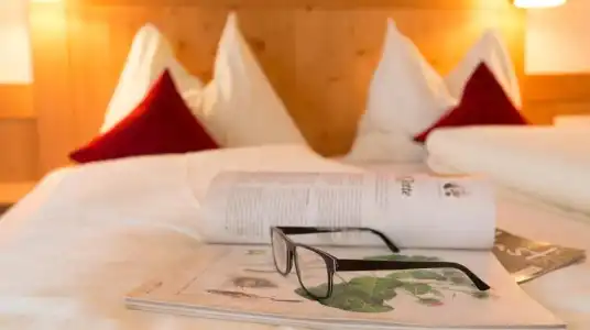 Pension Steiermark - 30