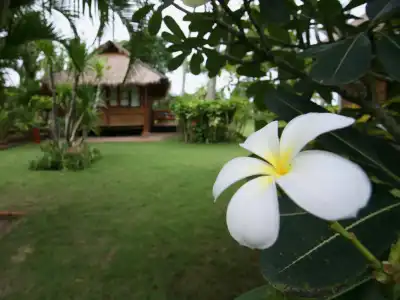 Suan Bankrut Beach Resort - 9