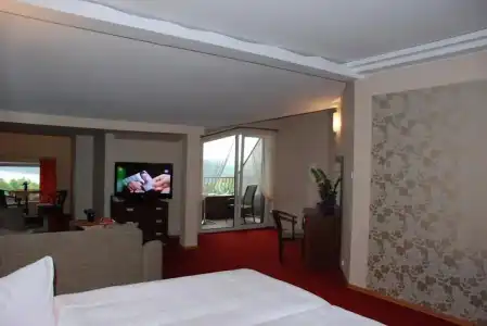 Panoramic-Oscar - 2