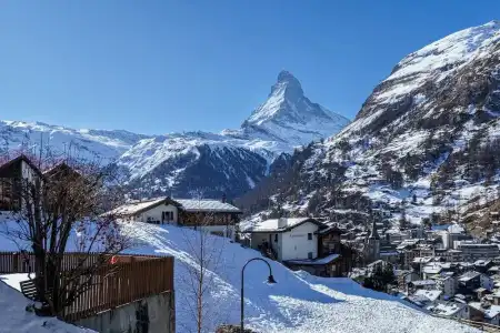 Alpenroyal - 141