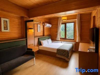 Ayder Doga Resort - 124