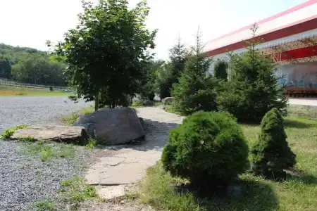 Lavina - 12