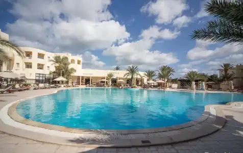 Green Palm - 10