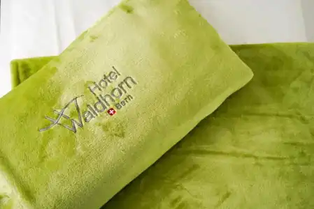 Waldhorn - 26