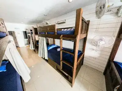 Back Home Backpackers - Hostel - 22
