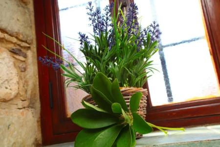 Agrovino Lofou - 108