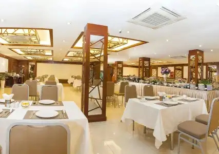 Vien Dong - 30