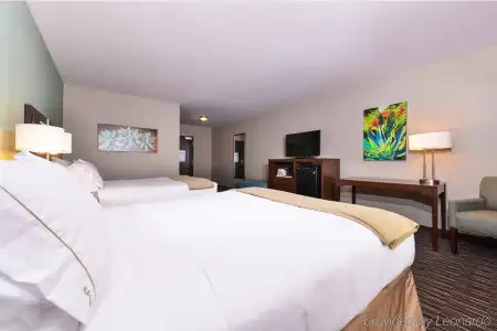 Holiday Inn Express & Suites Indio - Coachella Valley by IHG - 5