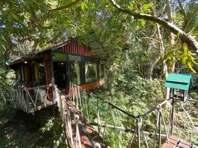 Khao Sok Tree House - 46