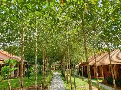 The Garden House Phu Quoc Resort - 302