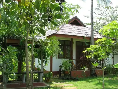 Krabi Discovery Resort - 36