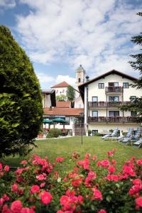 Gräfliches Alte Post - 48