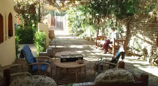 Nile Compound - 20