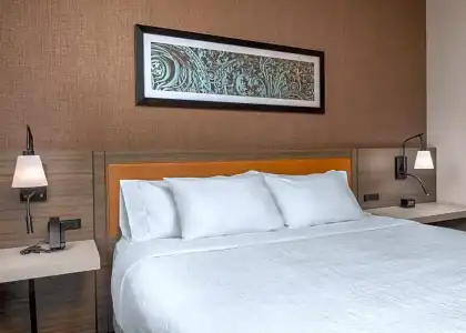 Hilton Garden Inn Chicago Central Loop - 39