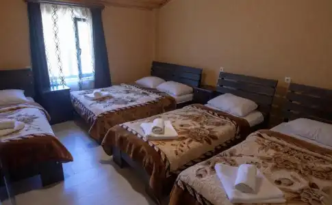 Nino Ratiani's Guesthouse - 15