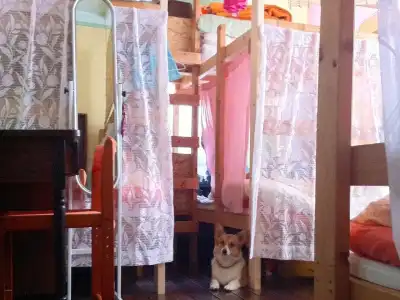 Otarunai Backpackers' Hostel MorinoKi - 41