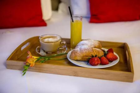 Business Plovdiv - Central Location - 95