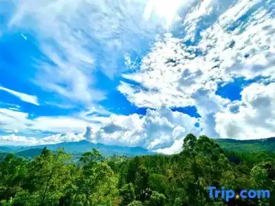Nature Life Guest Inn - 73