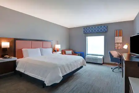 Hampton Inn & Suites Clearwater/St. Petersburg-Ulmerton Road, FL - 50