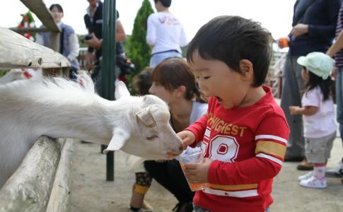Grand Mercure Nasu Highlands Resort & Spa - 37
