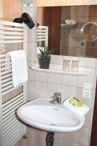 an der Sonne & Restaurant Zum Schneiger - 6