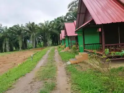 Khao Sok Evergreen House - 34