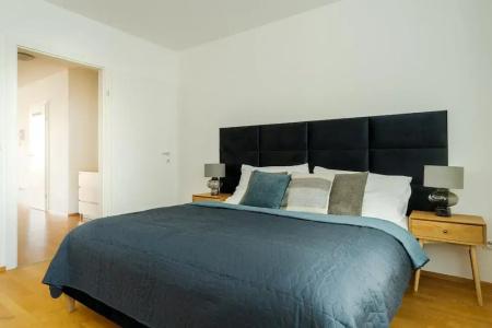 Business & Family Ambiente Apartments - 243