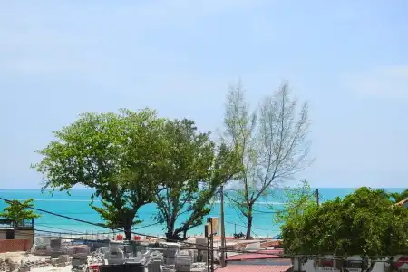 Paretto Seaview - 16
