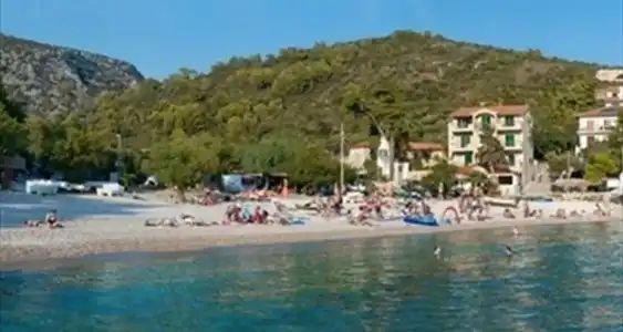 Fortuna - 28