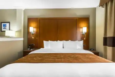 Comfort Suites University - 60