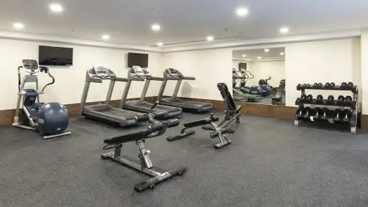 Holiday Inn Express Mexico Basilica by IHG - 22