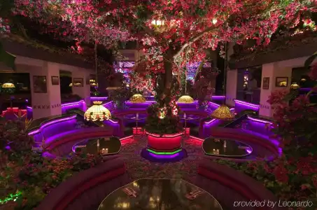 Western Village Inn & Casino by Peppermill Resorts - 13